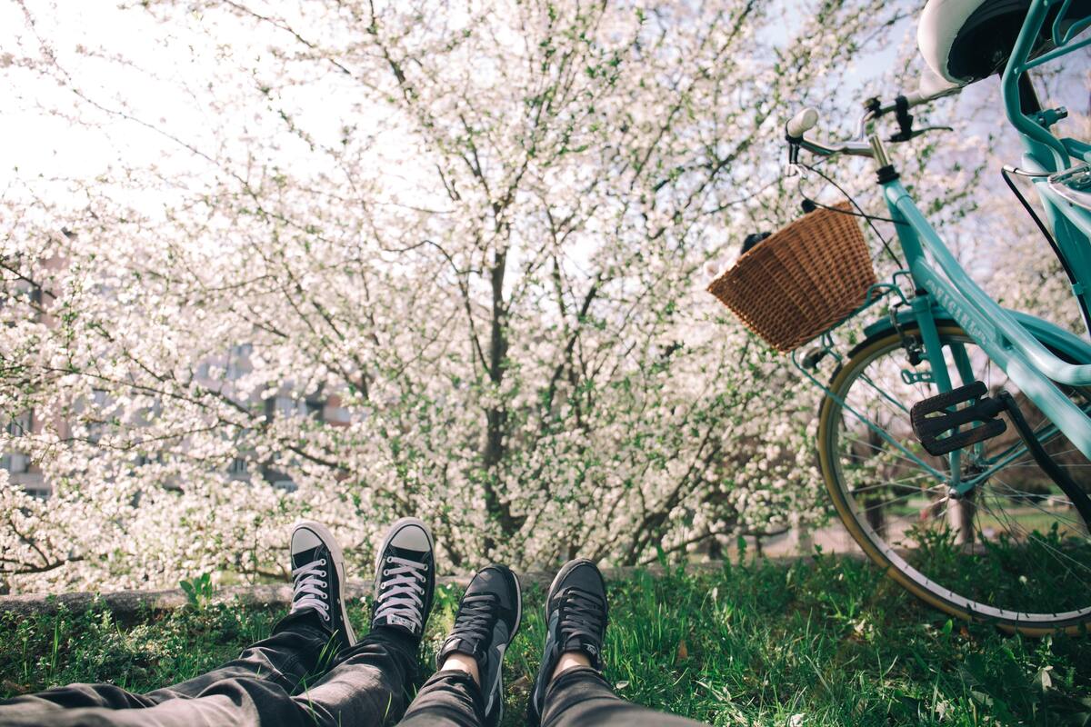 Pés de um casal deitado na grama, bicicleta e árvore cheia de flores em foco.