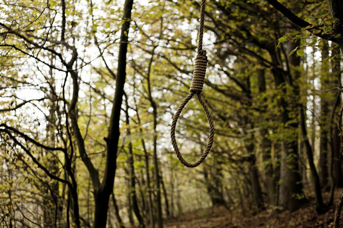 Corda de enforcamento em floresta