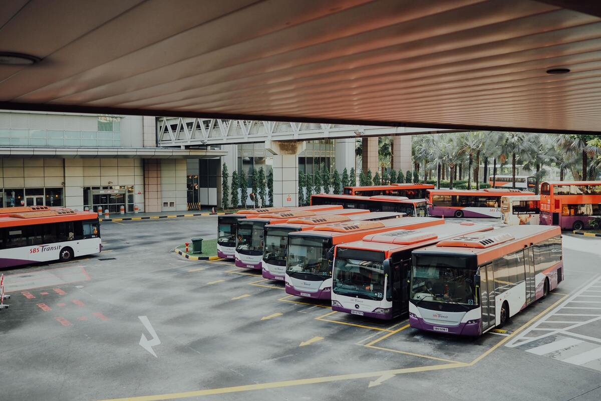 Terminal com vários ônibus. 