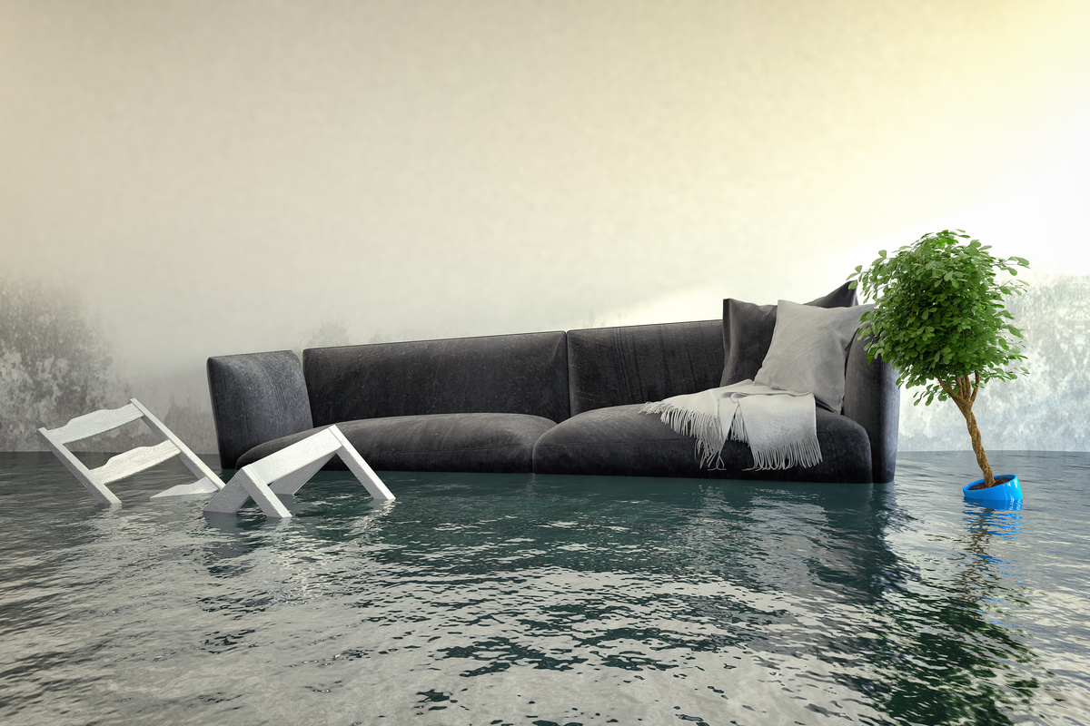 Sofá, cadeira e vaso de planta boiando em enchente 