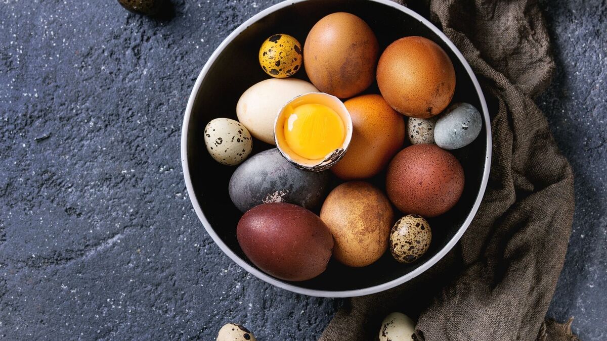 Imagem de diferentes tipos de ovos