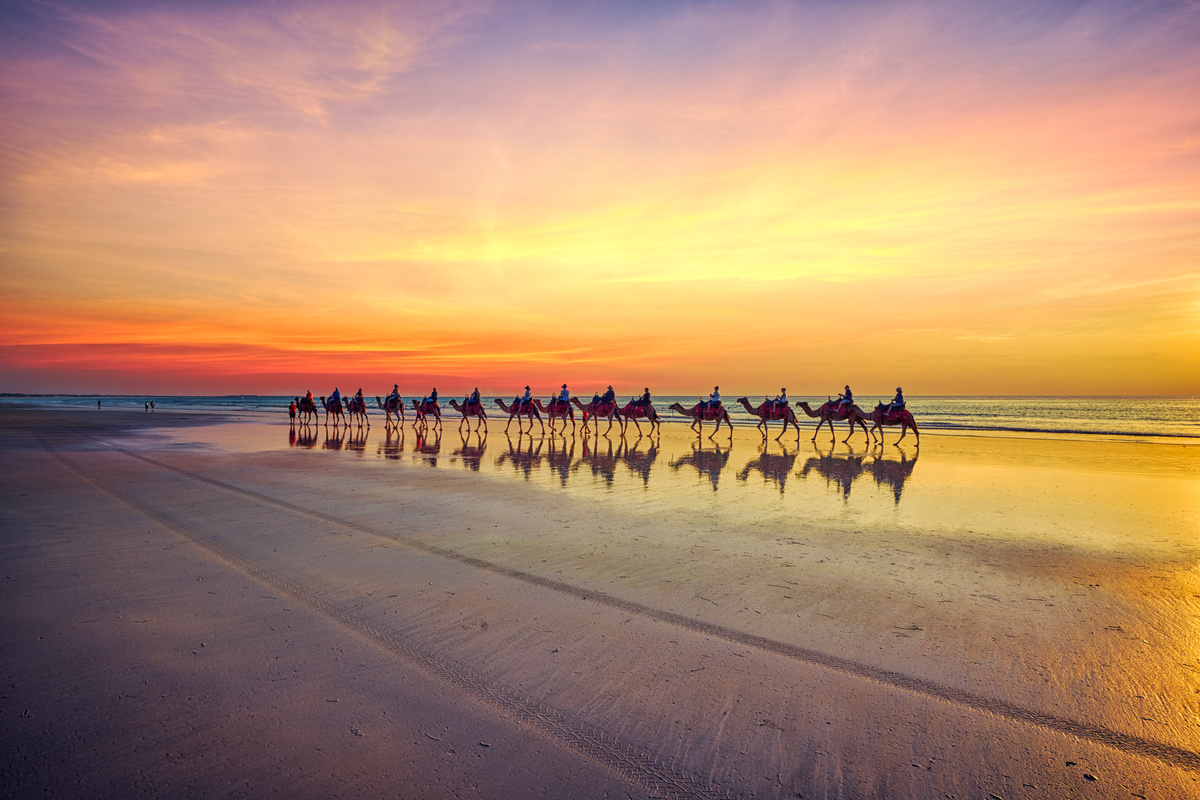 Caravana de camelos no deserto
