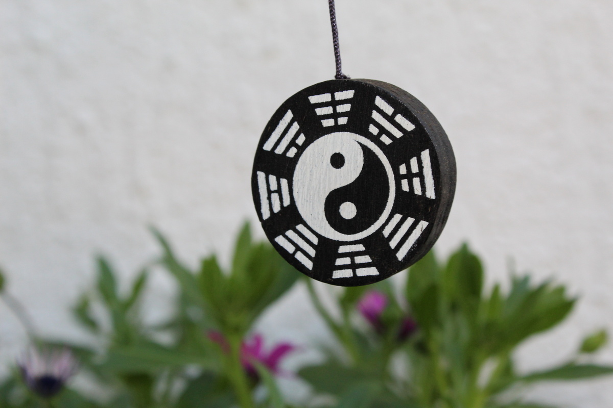 Símbolo do Yin Yang pendurado em jardim 