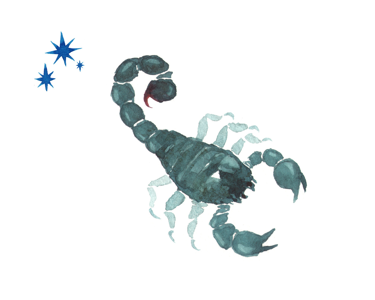 Ilustração de escorpião feita em tinta azul, dentro de fundo branco, representando o signo de Escorpião.