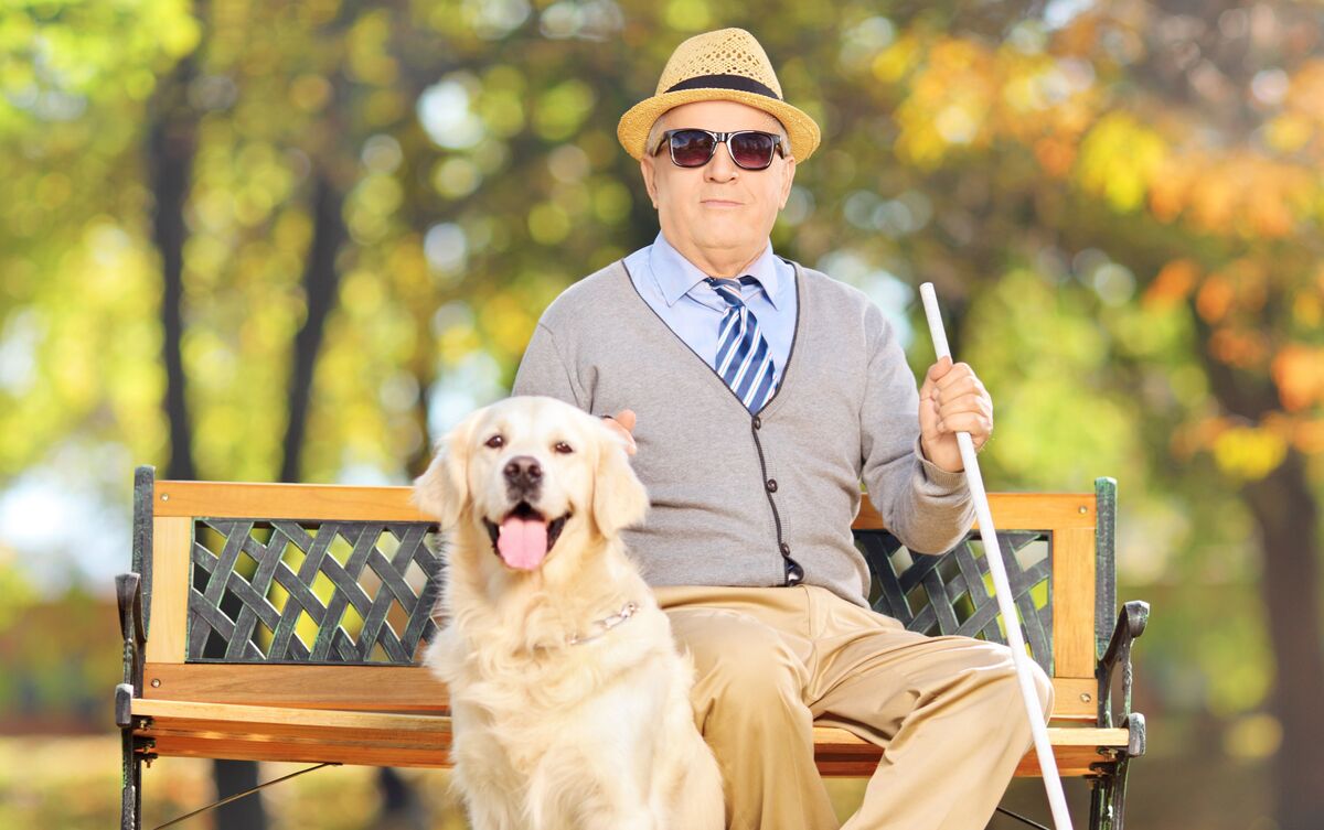 Homem cego sentado em banco de praça com cão-guia.