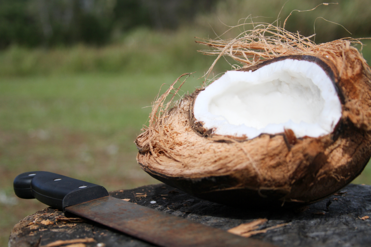 Facão e um coco aberto apoiado em um pedaço de madeira. 