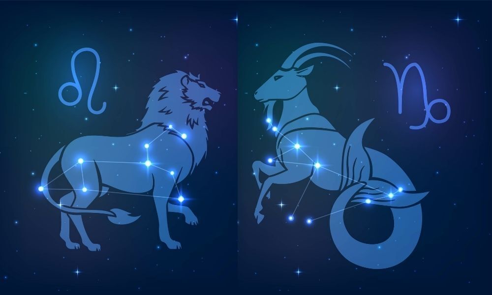 um leão e uma cabra, simbolos dos signos de leão e capricórnio de frente um para o outro.