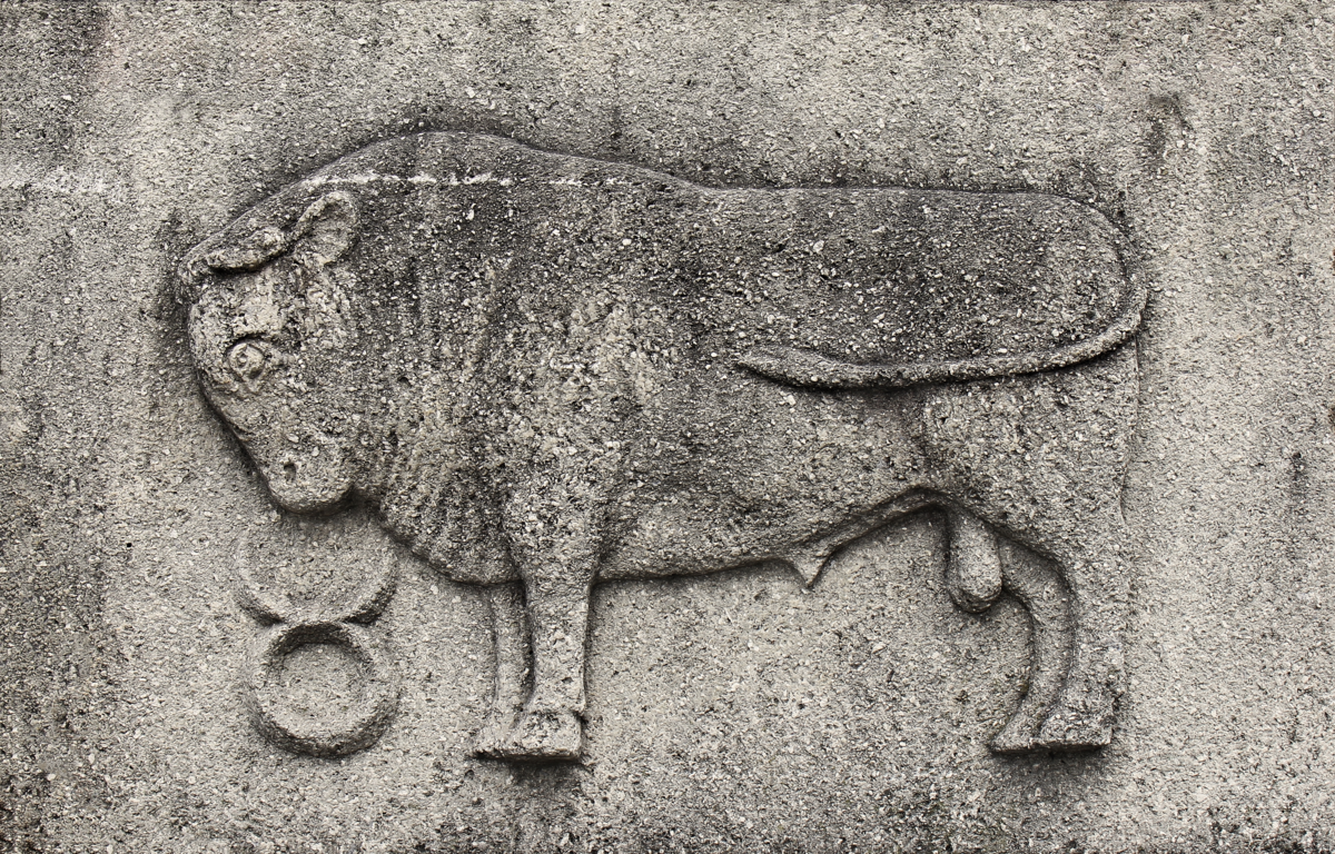 Um touro e o símbolo do signo de Touro.
