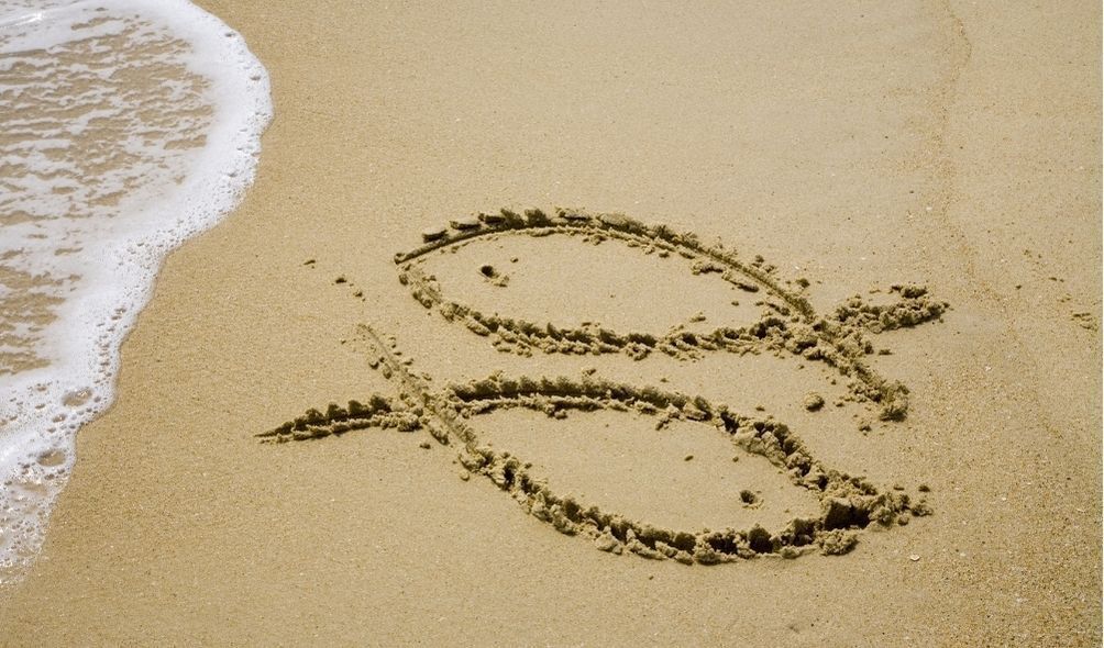 Peixes desenhados na areia da praia