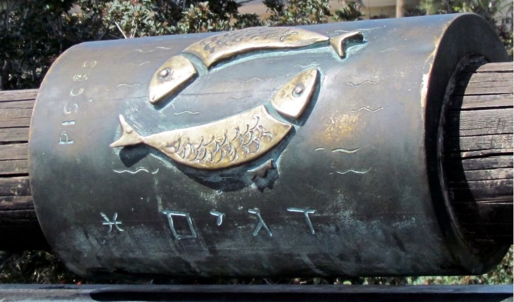 Peixes desenhados em banco de praça