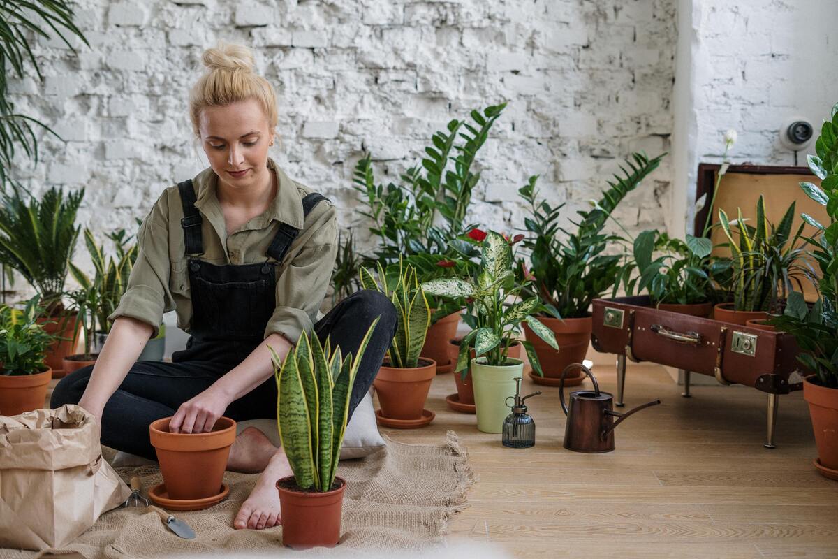 Uma mulher sentada com muitos vasos de planta ao seu redor