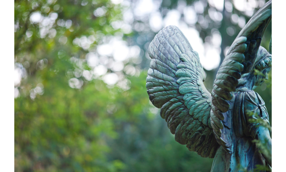 Foto com escultura de anjo de costas, com destaque para as asas e natureza desfocada atrás.