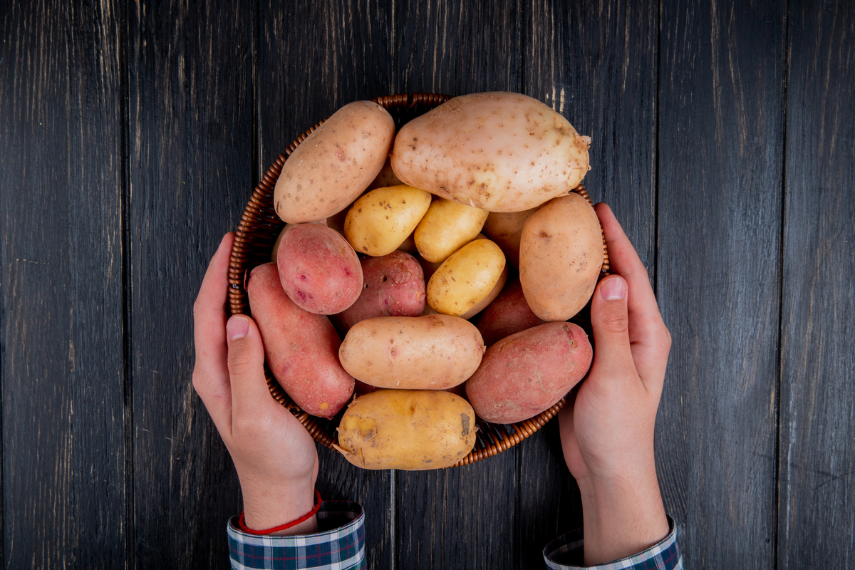 Pessoa com cesta de diferentes tipos de batatas