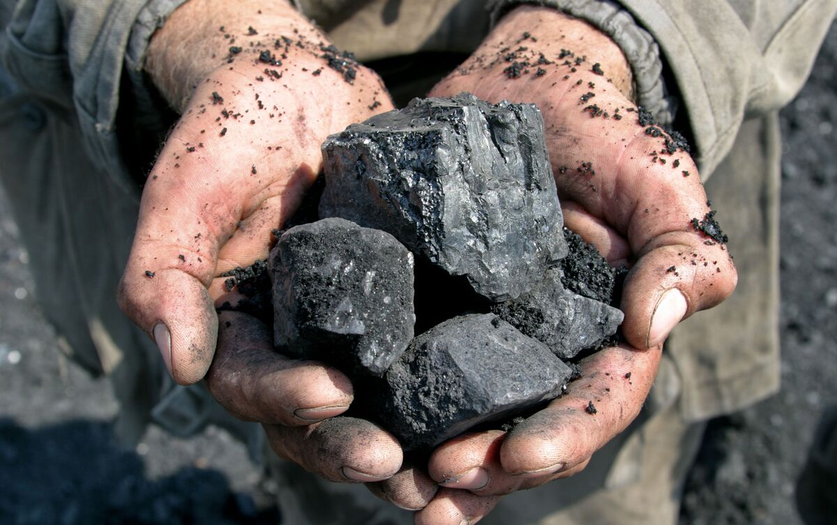 Pessoa segurando pedaços de carvão com as duas mãos.