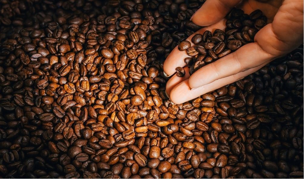 Mão segurando grãos de café