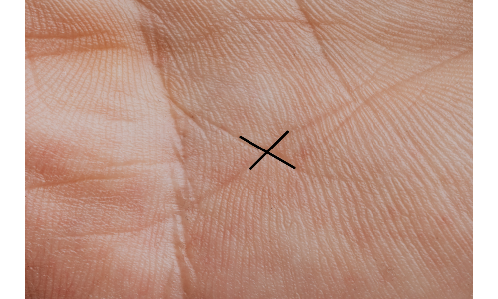 Linhas da mão de uma pessoa se cruzando em um X com destaque.