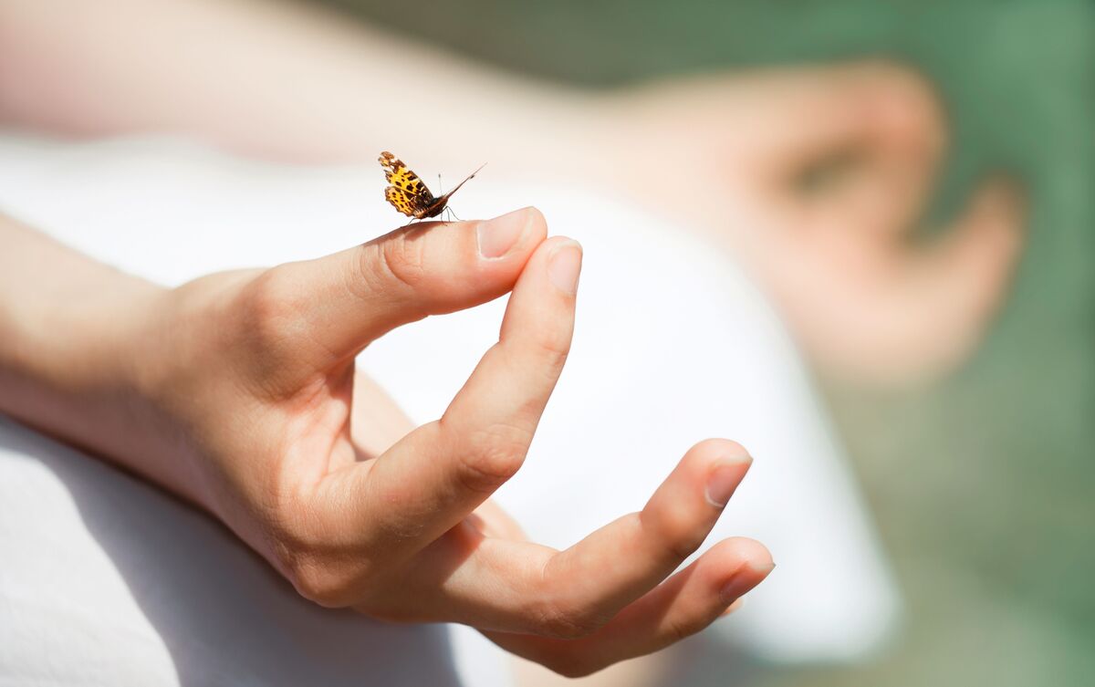 Pessoa meditando com borboleta pousada em sua mão.