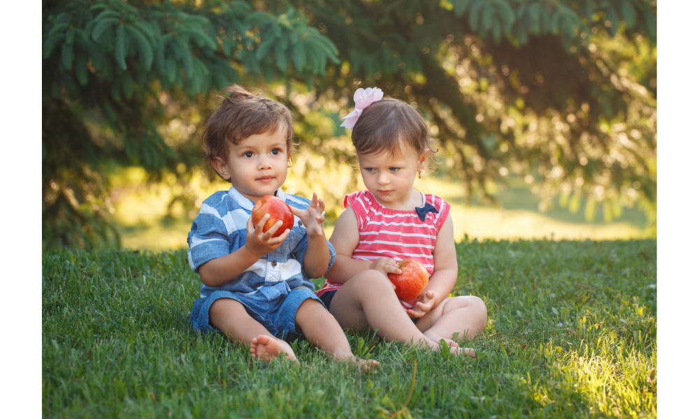 Duas crianças segurando maçãs e sentadas na grama, com uma delas com inveja da outra.