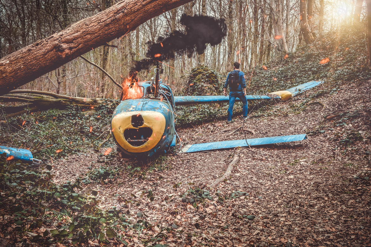 Avião caído no meio da floresta.