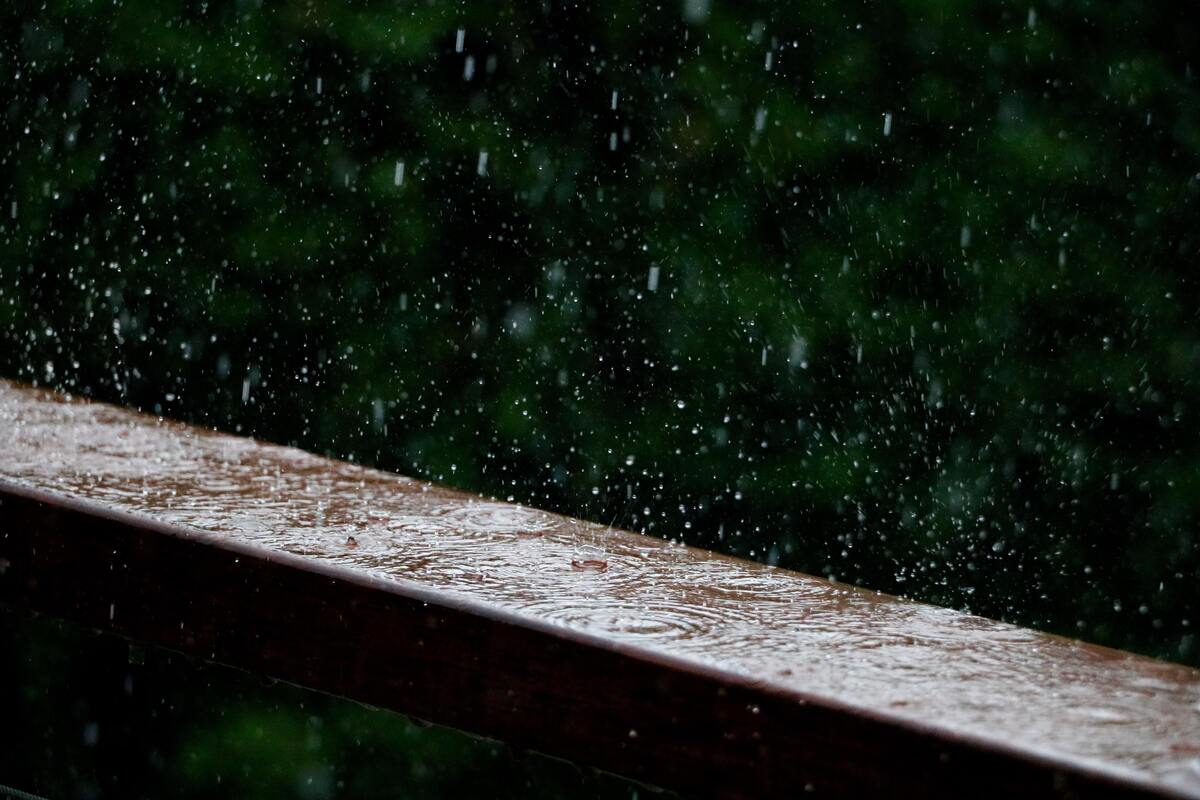 Pingos de chuva caindo em um pedaço de madeira.