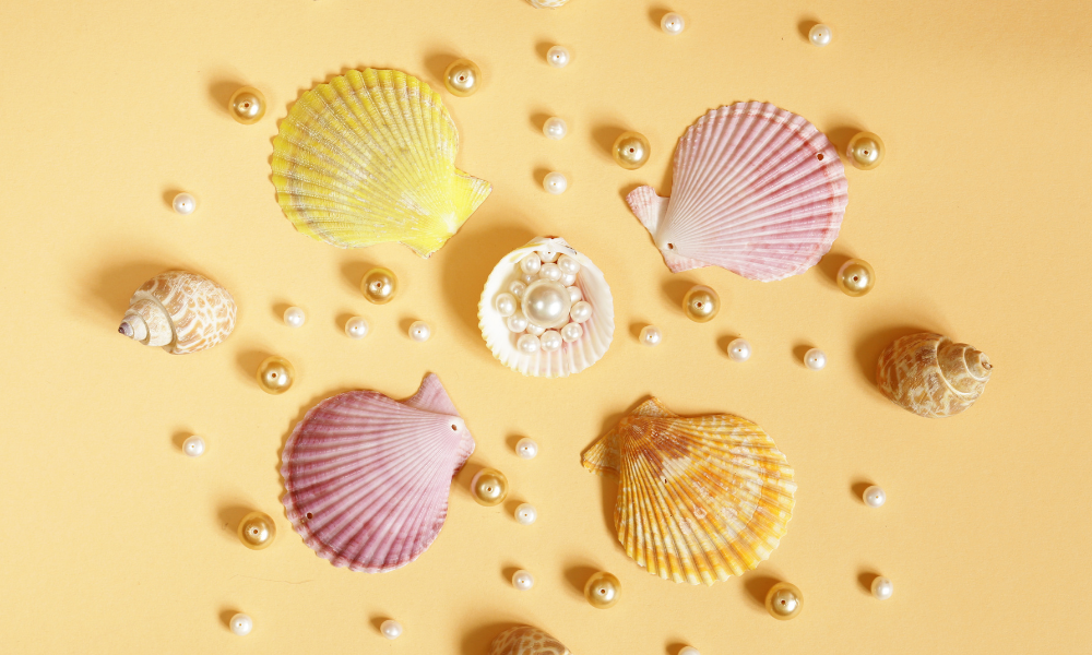 Conchas coloridas com pérolas.