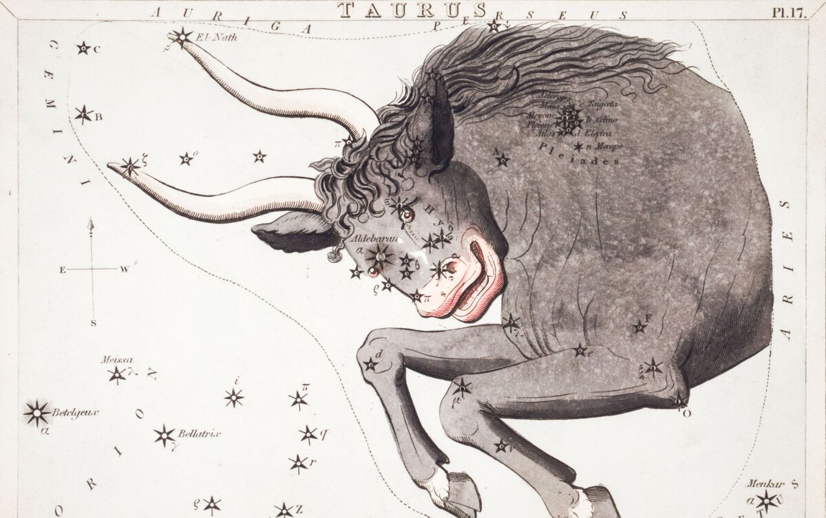 Ilustração de Touro com estrelas ao redor.