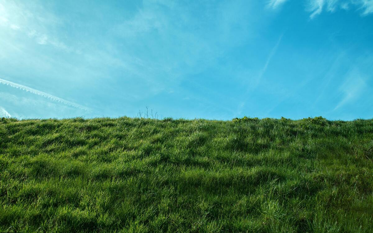 Paisagem de campo gramado e céu azul.