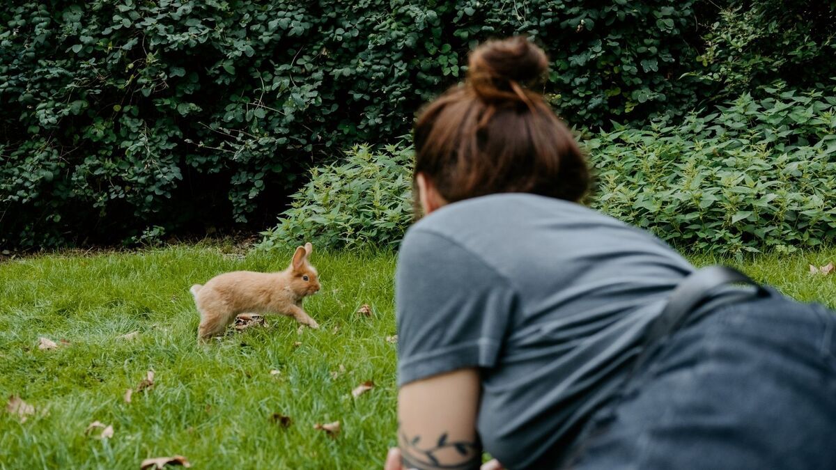 Mulher olhando um coelho.