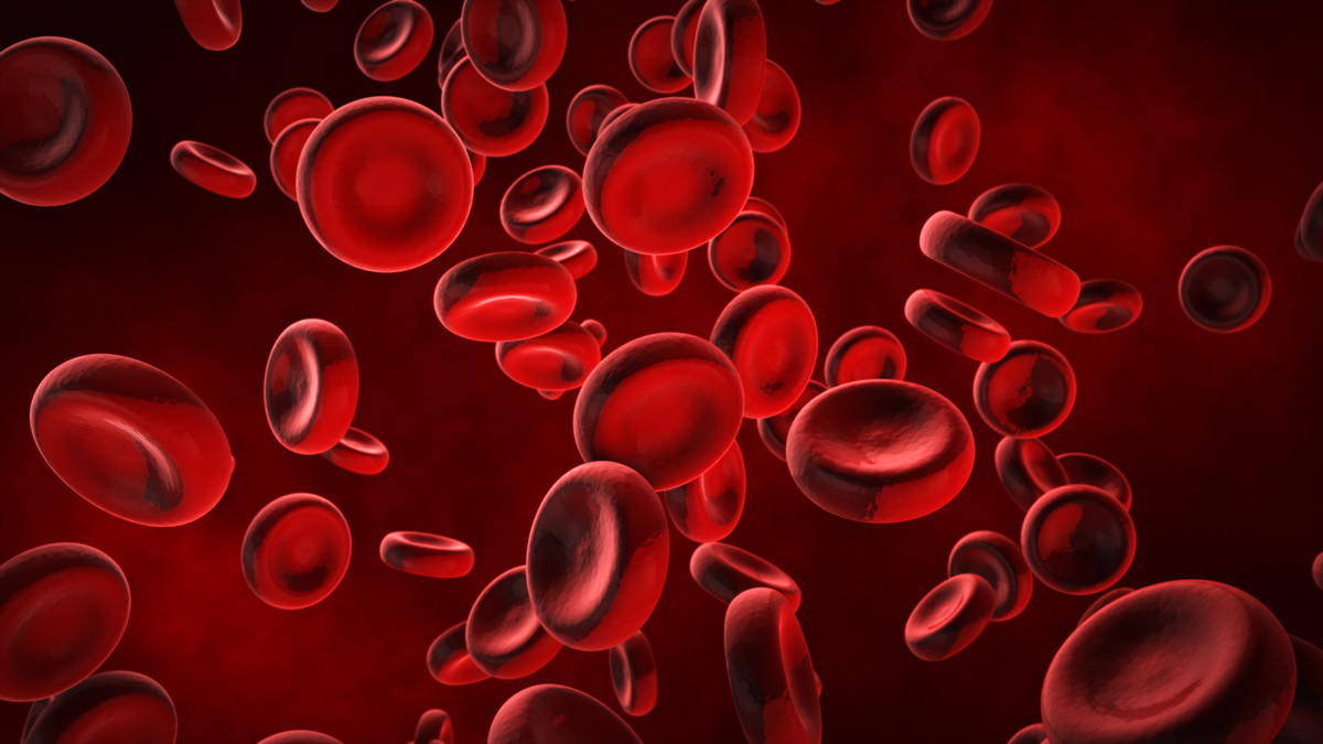 Ilustração 3D das células do sangue