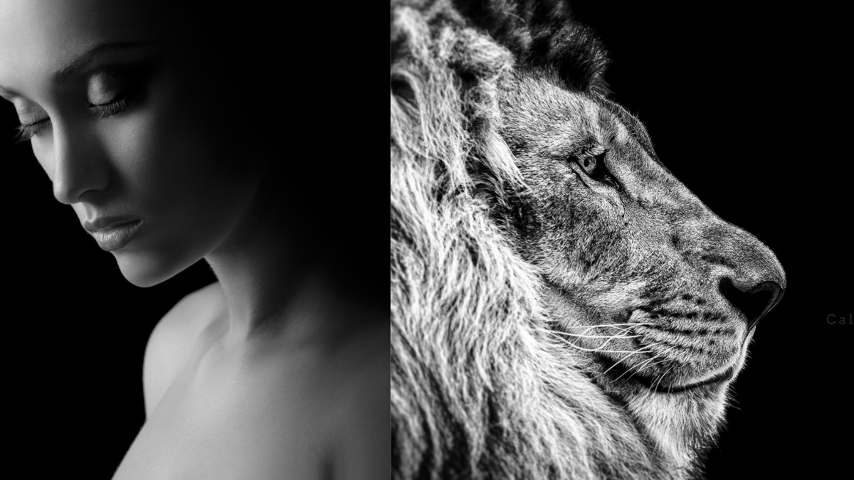 Mulher e um leão. 
