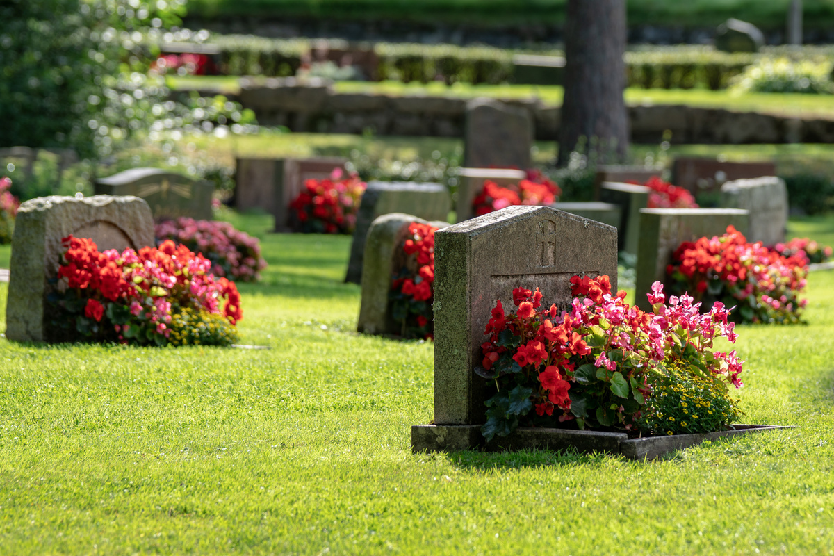 Várias lápides com flores em cemitério